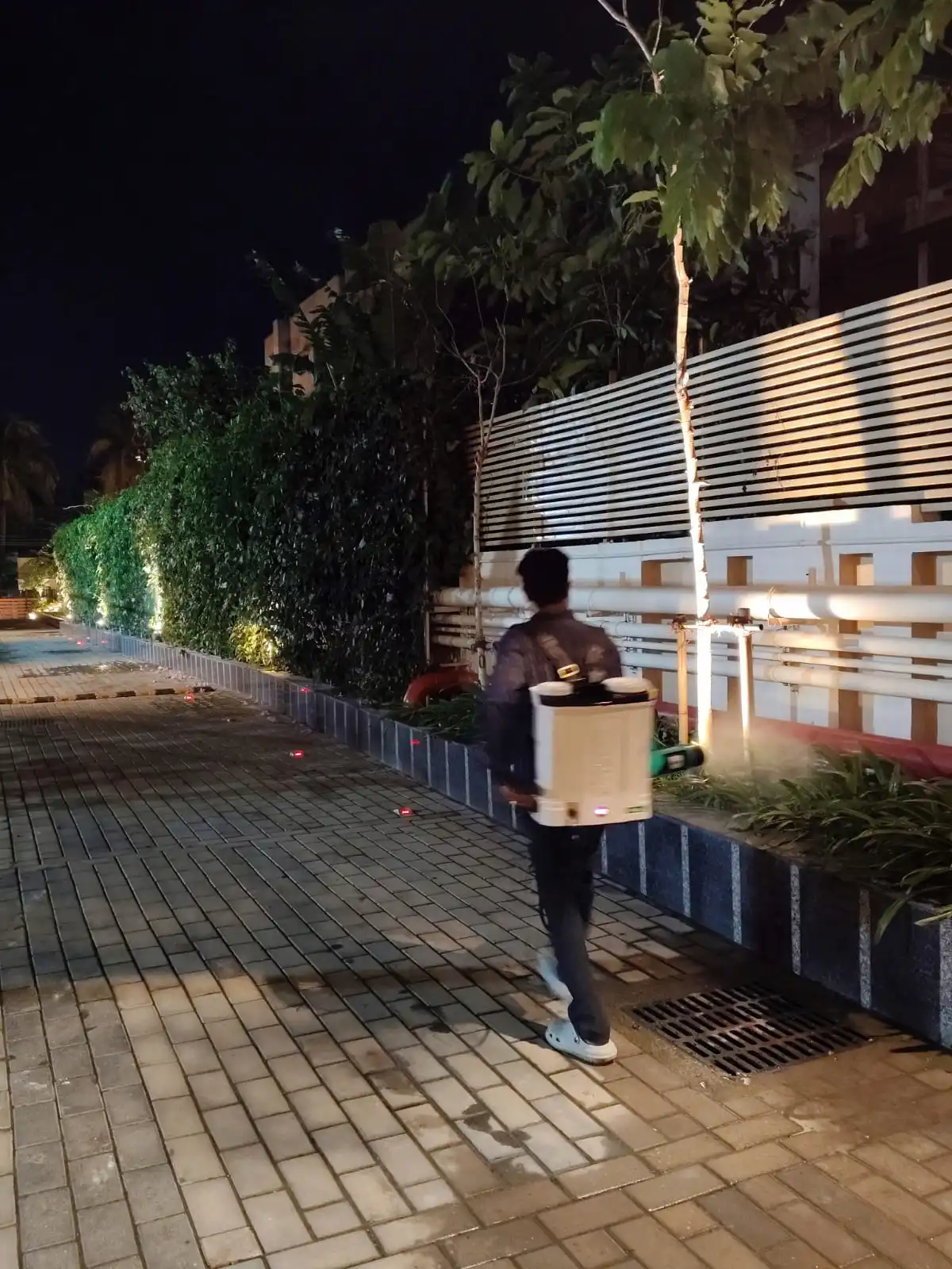 Commercial pest control service in North-East India