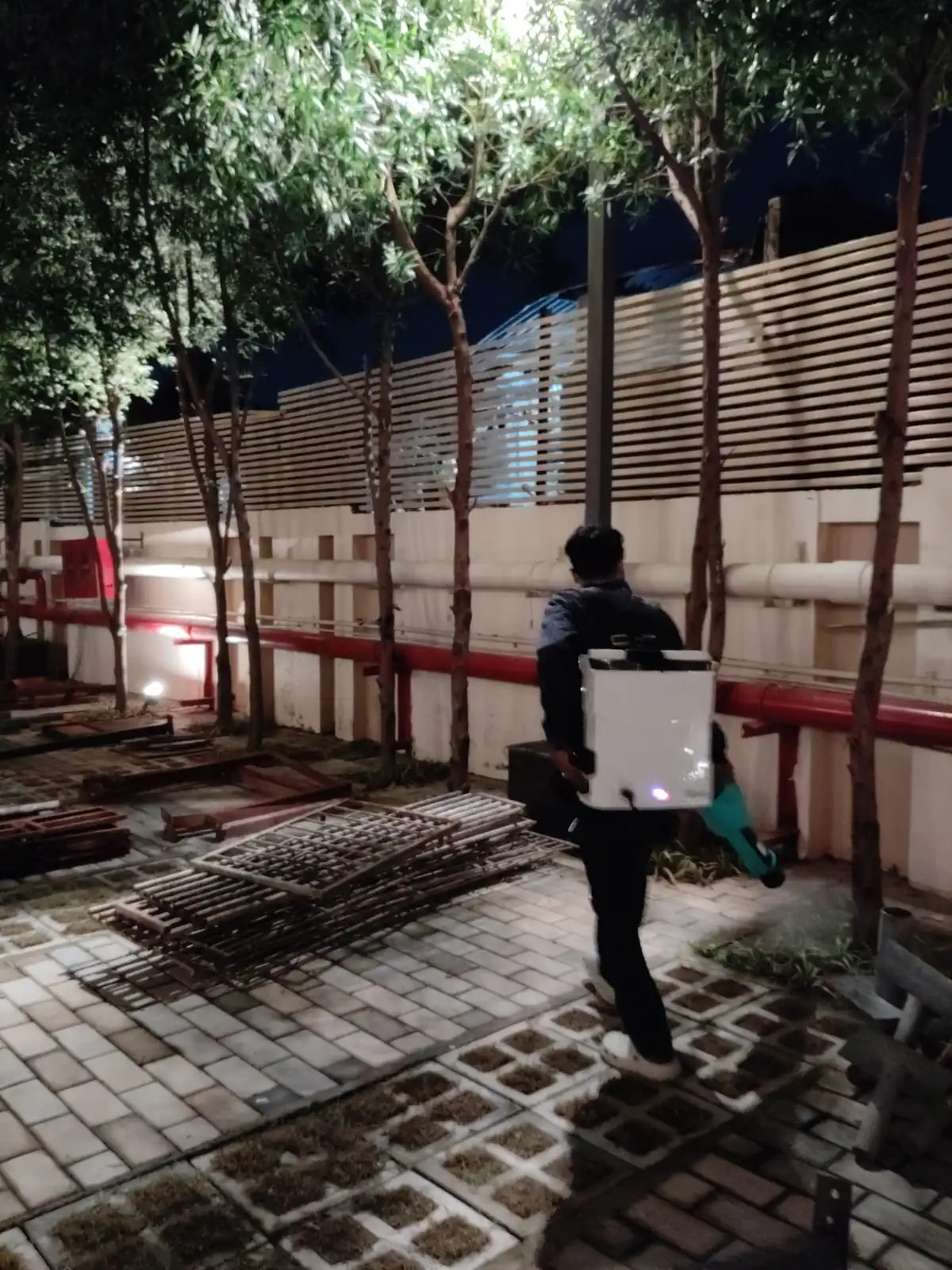 Termite rodent and cockroach control service in Assam