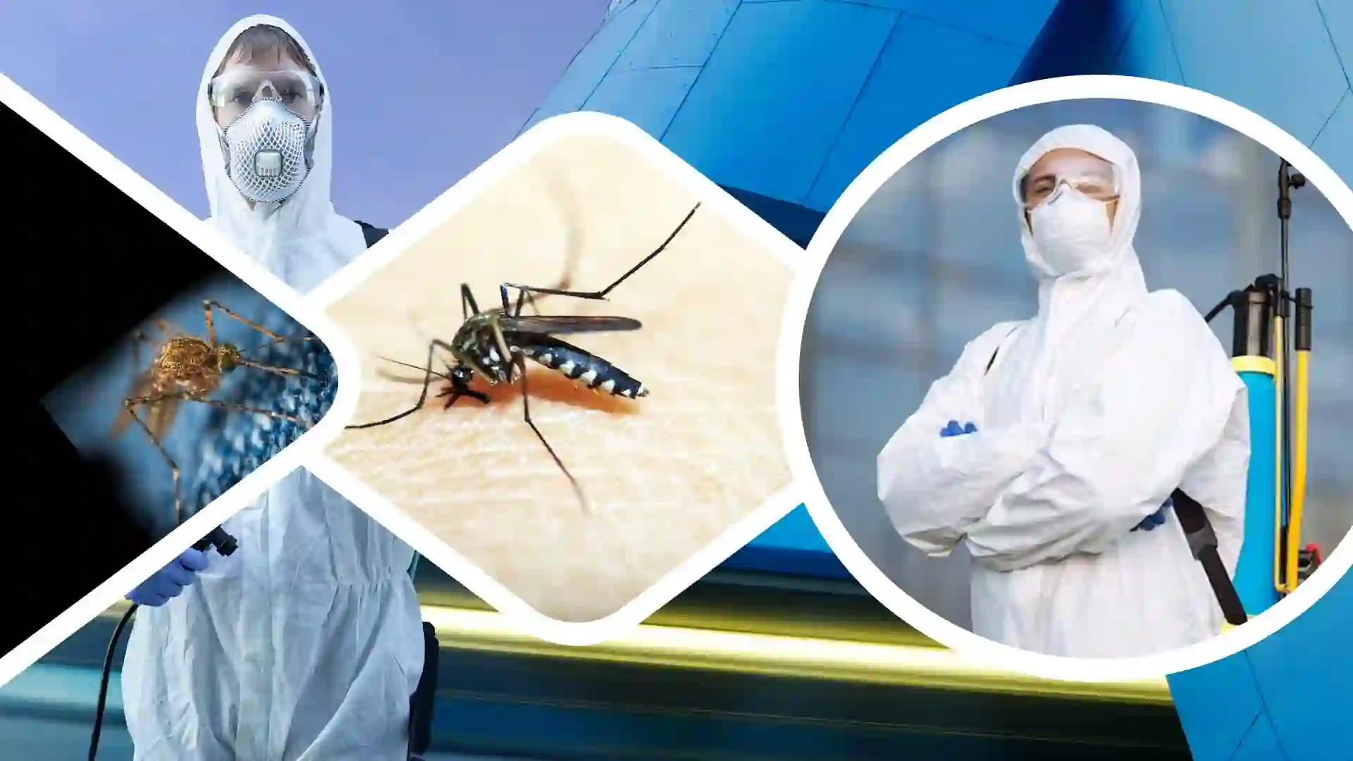 mosquito control and pest management in assam